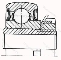 Модификация подшипника 1680205С17 размер 25x62x18/31